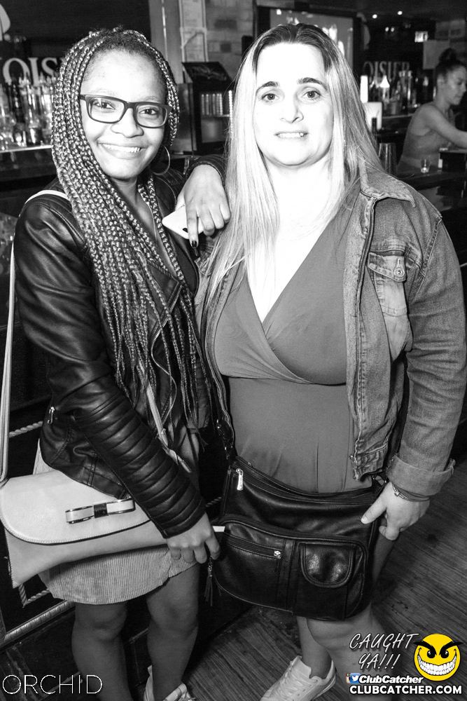 Orchid nightclub photo 29 - September 14th, 2019
