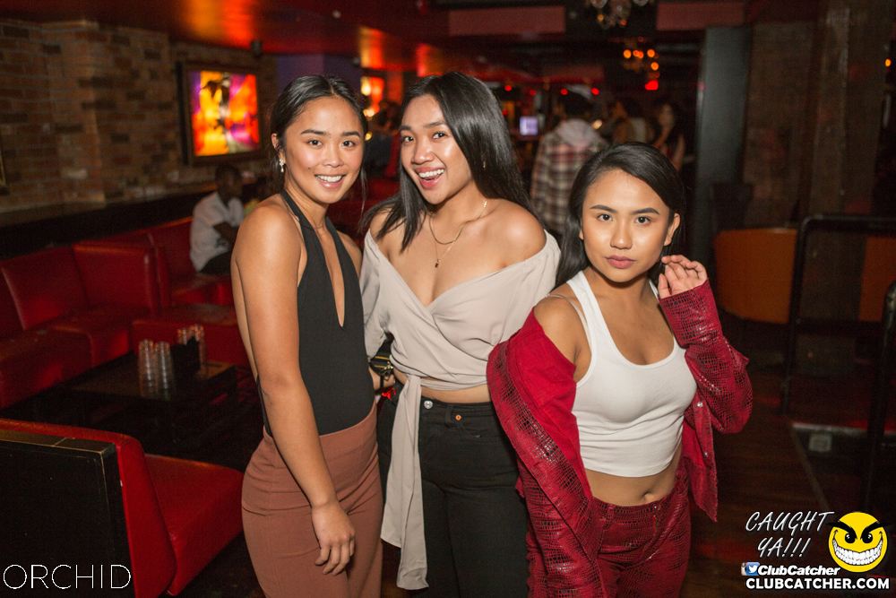 Orchid nightclub photo 32 - September 14th, 2019