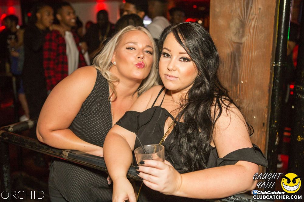 Orchid nightclub photo 34 - September 14th, 2019