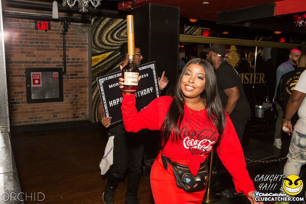 Orchid nightclub photo 35 - September 14th, 2019