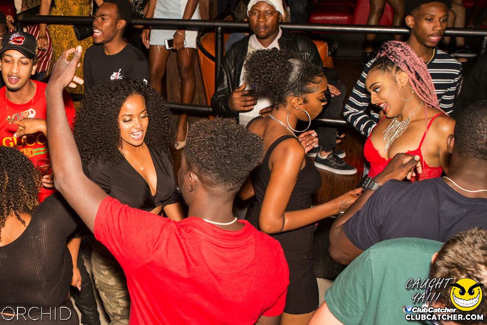 Orchid nightclub photo 36 - September 14th, 2019