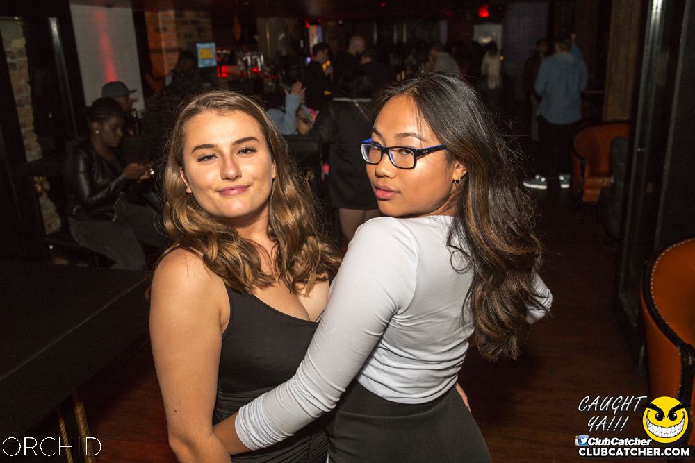 Orchid nightclub photo 39 - September 14th, 2019