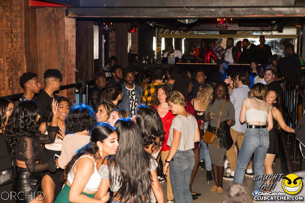 Orchid nightclub photo 41 - September 14th, 2019