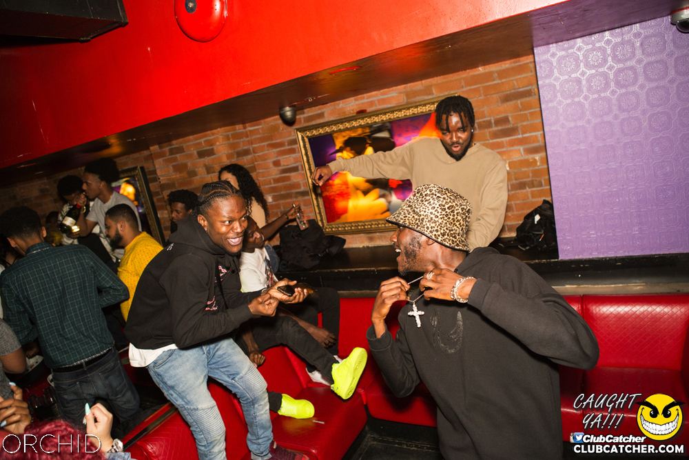Orchid nightclub photo 42 - September 14th, 2019