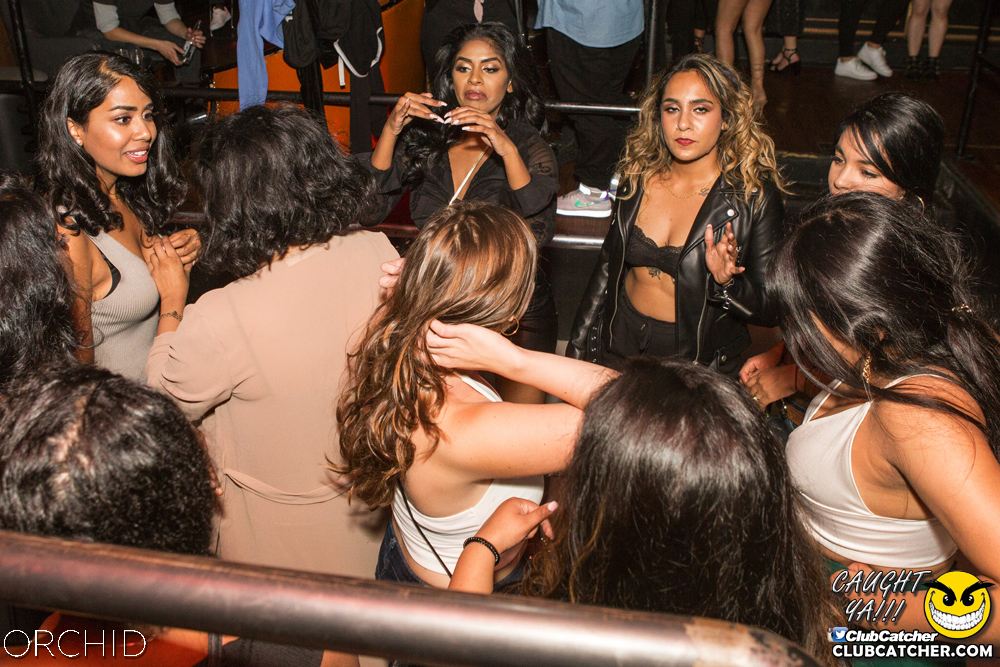 Orchid nightclub photo 44 - September 14th, 2019