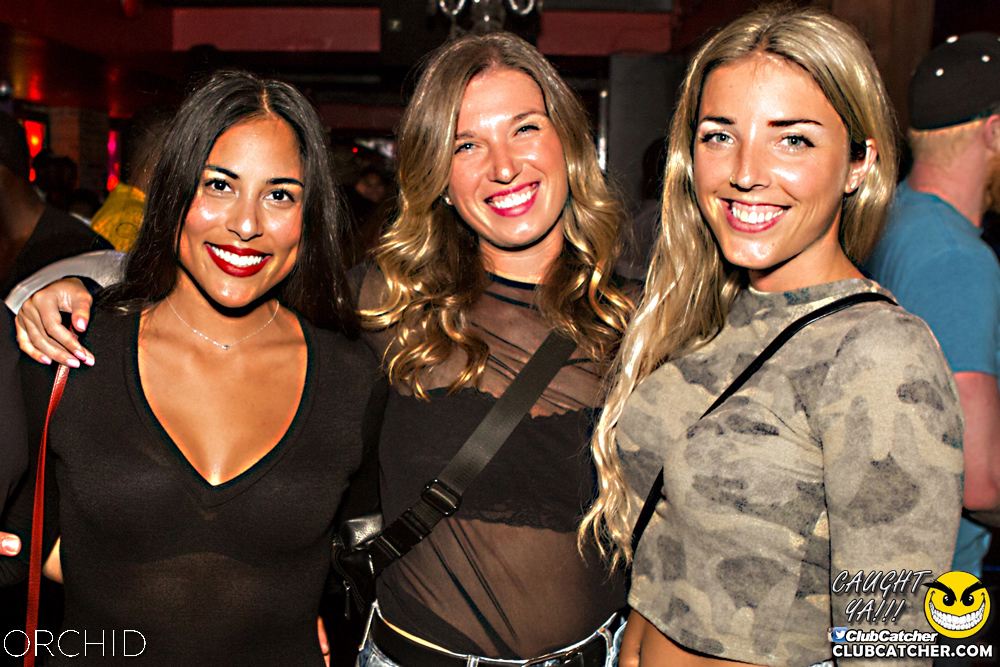 Orchid nightclub photo 45 - September 14th, 2019
