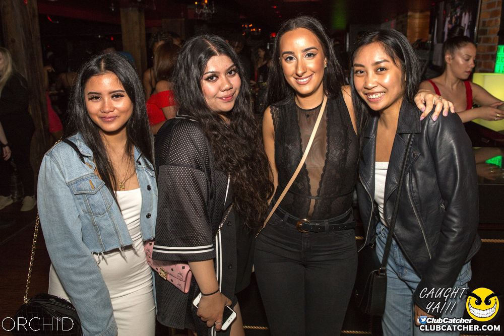 Orchid nightclub photo 47 - September 14th, 2019