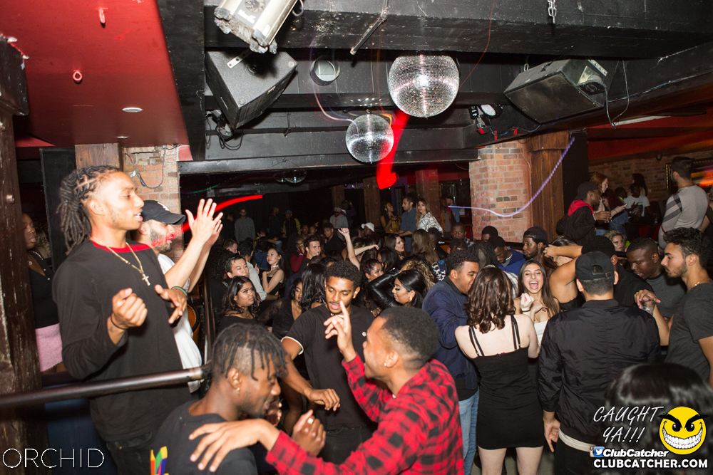 Orchid nightclub photo 48 - September 14th, 2019