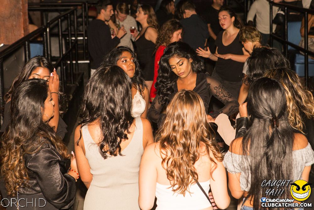 Orchid nightclub photo 50 - September 14th, 2019