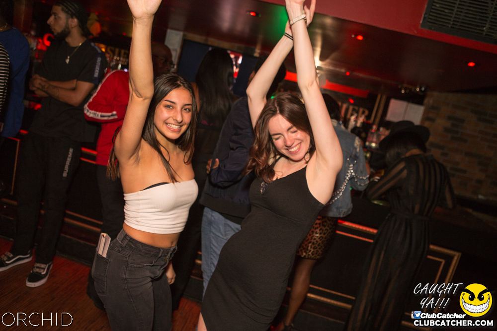 Orchid nightclub photo 51 - September 14th, 2019