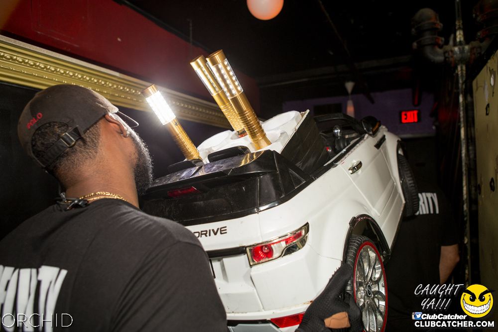 Orchid nightclub photo 53 - September 14th, 2019