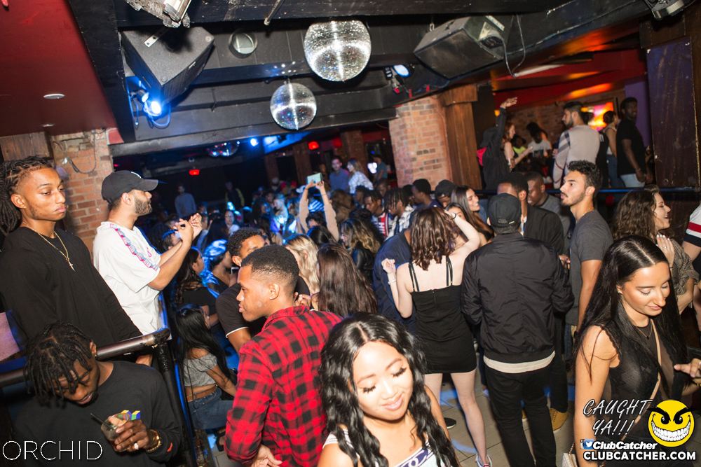 Orchid nightclub photo 55 - September 14th, 2019