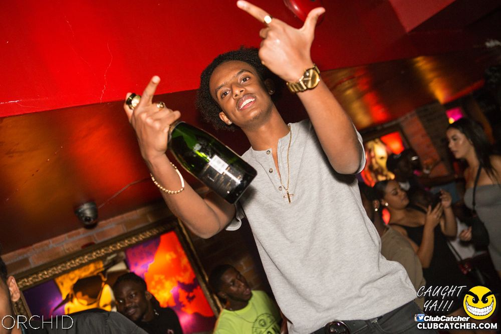 Orchid nightclub photo 61 - September 14th, 2019