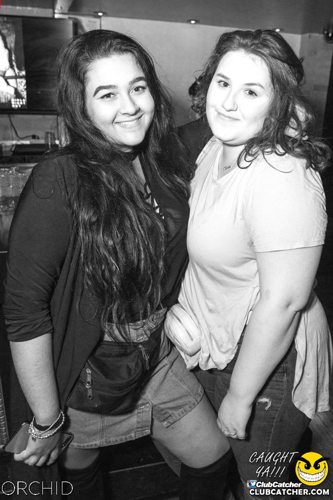 Orchid nightclub photo 62 - September 14th, 2019