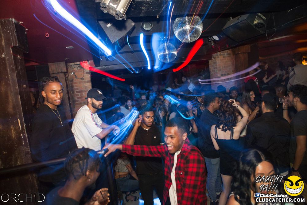 Orchid nightclub photo 63 - September 14th, 2019