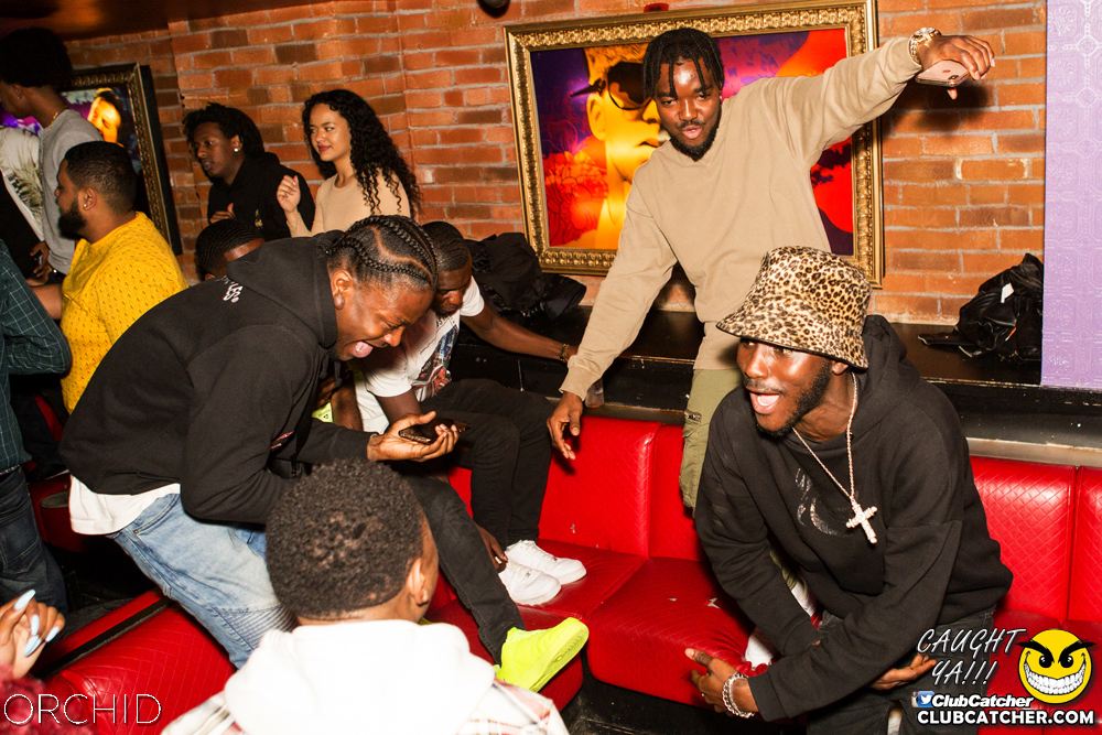 Orchid nightclub photo 68 - September 14th, 2019