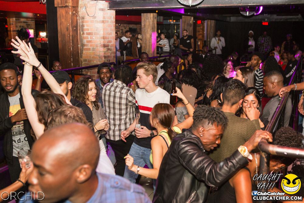 Orchid nightclub photo 69 - September 14th, 2019