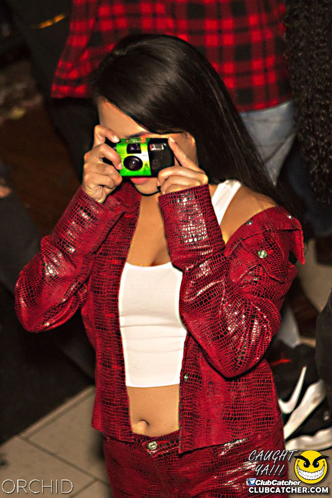Orchid nightclub photo 73 - September 14th, 2019