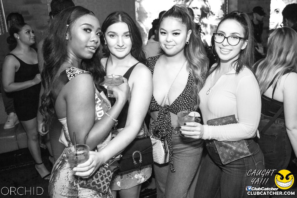 Orchid nightclub photo 74 - September 14th, 2019
