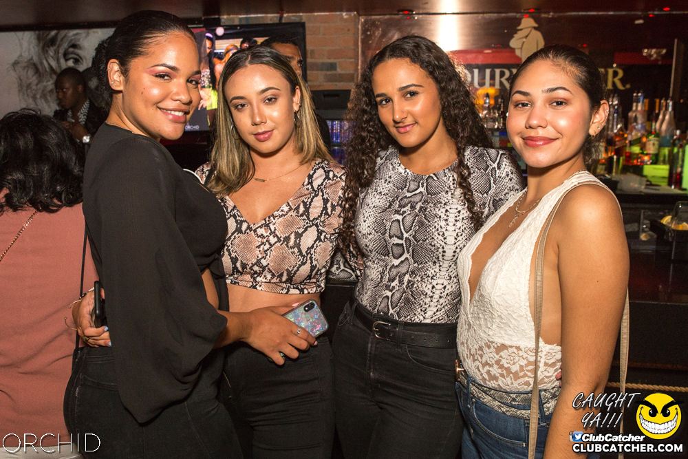 Orchid nightclub photo 75 - September 14th, 2019
