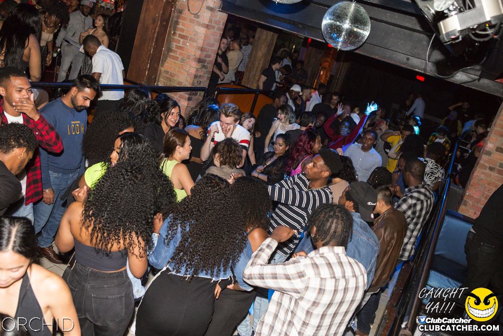 Orchid nightclub photo 76 - September 14th, 2019