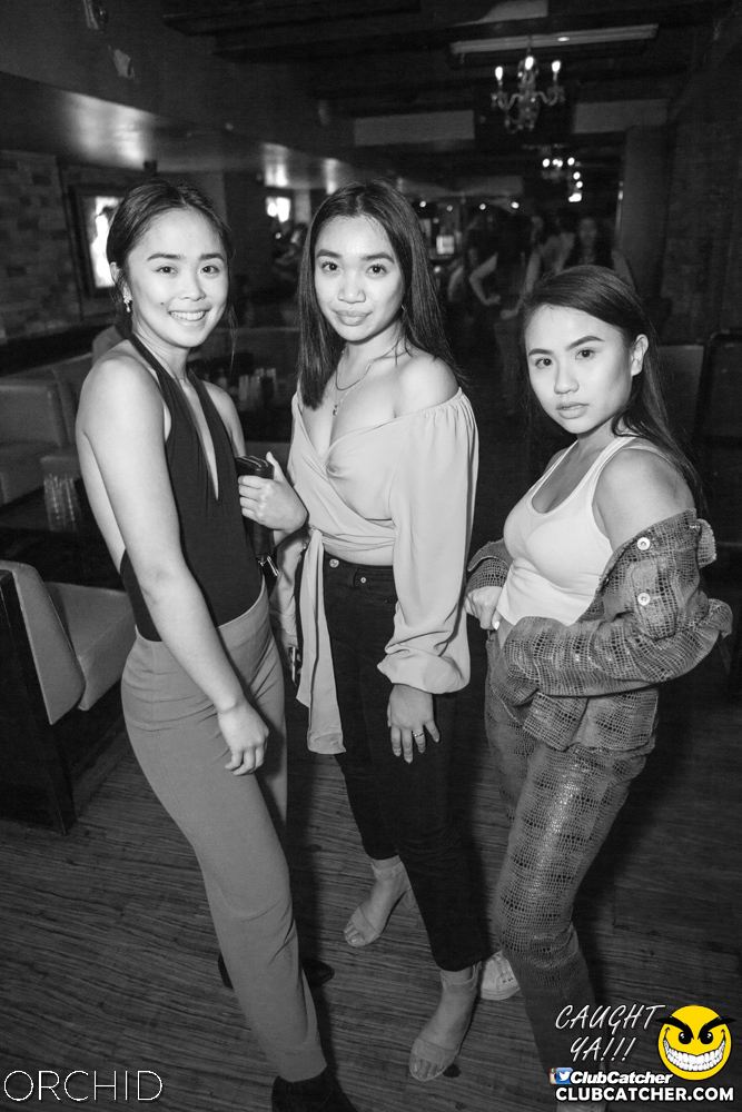 Orchid nightclub photo 79 - September 14th, 2019