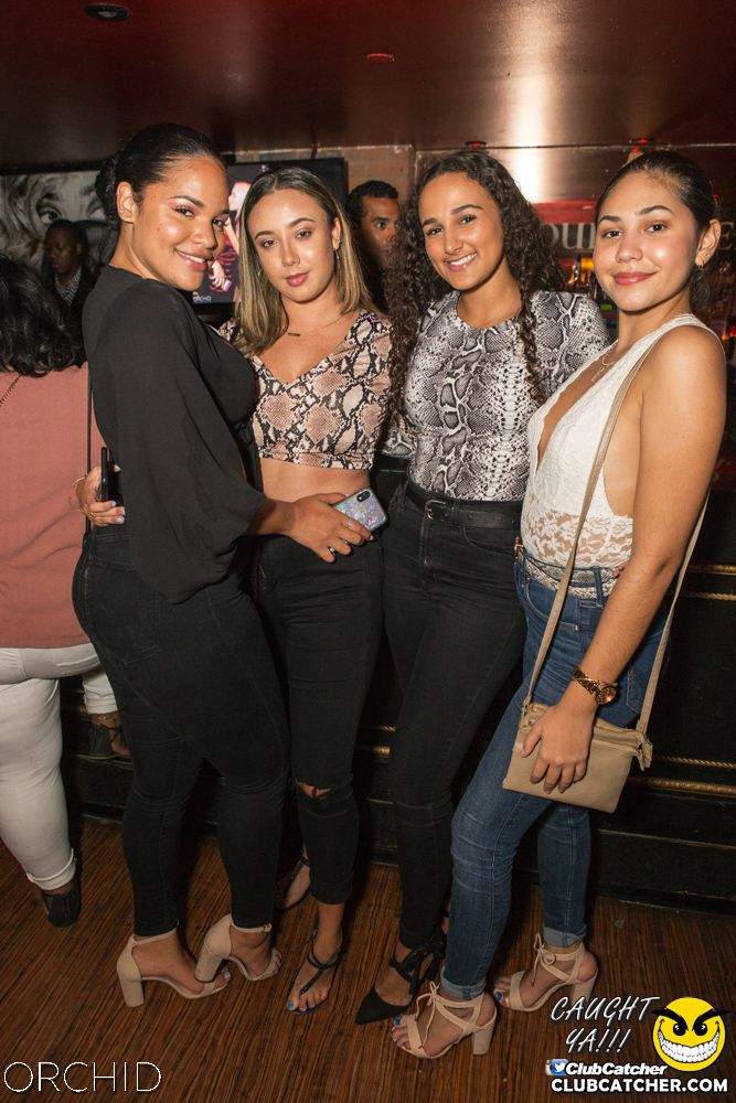 Orchid nightclub photo 80 - September 14th, 2019