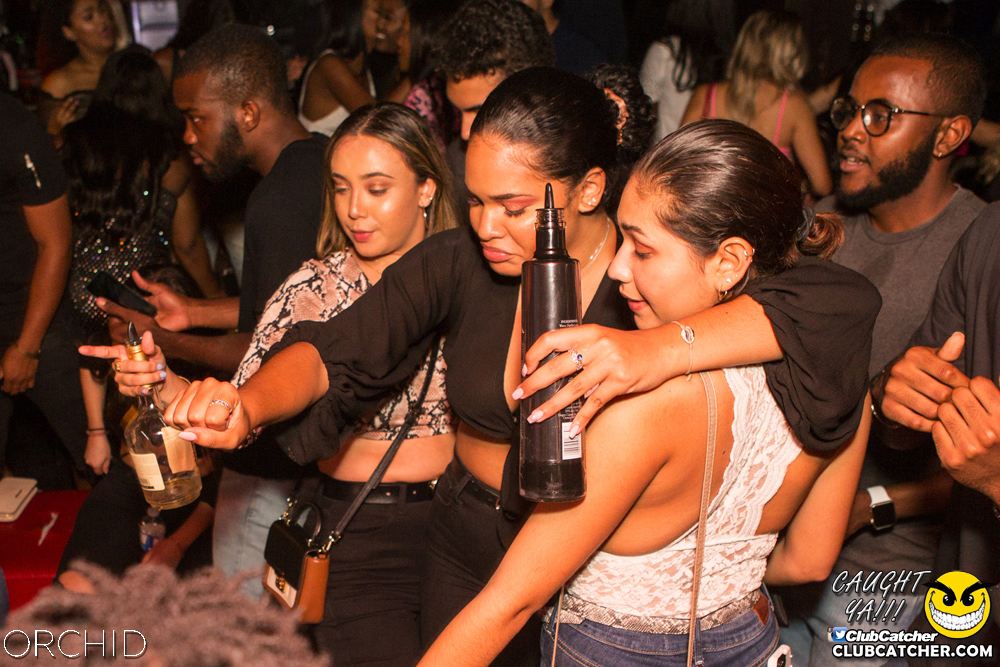 Orchid nightclub photo 81 - September 14th, 2019