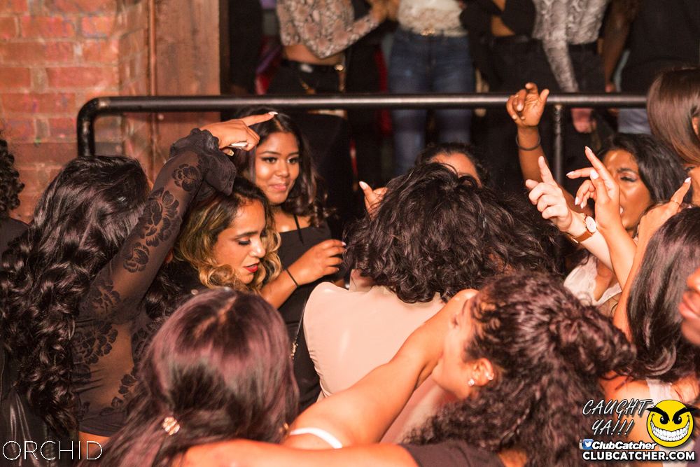 Orchid nightclub photo 83 - September 14th, 2019