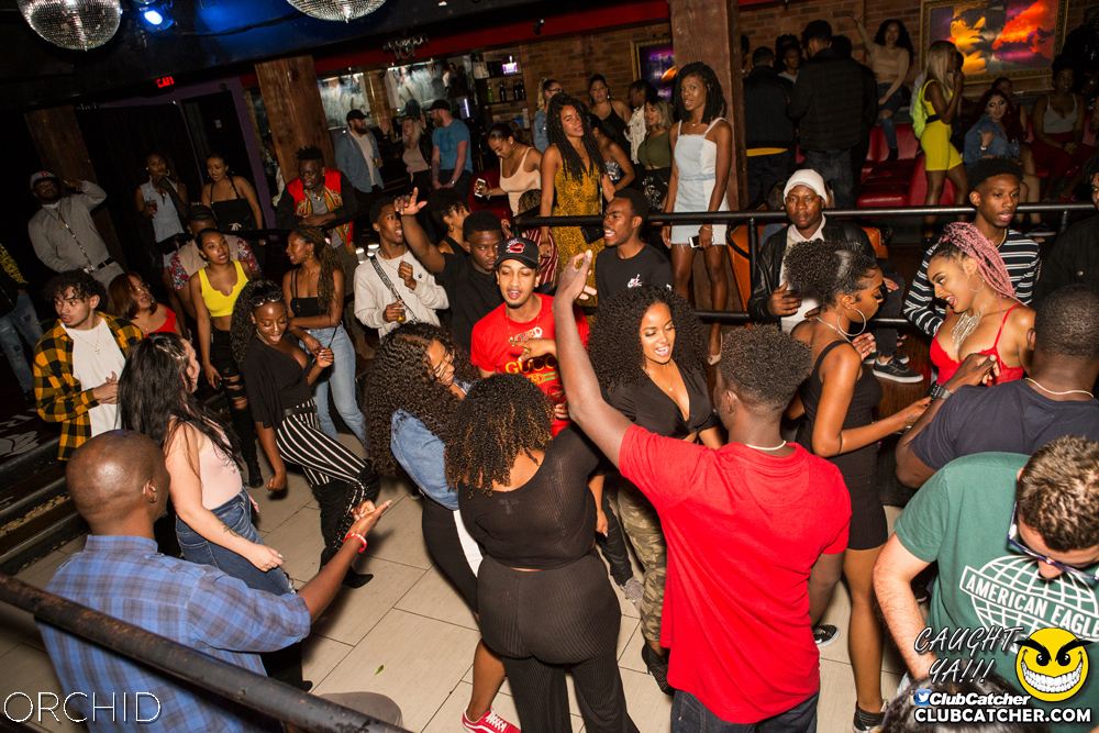 Orchid nightclub photo 84 - September 14th, 2019