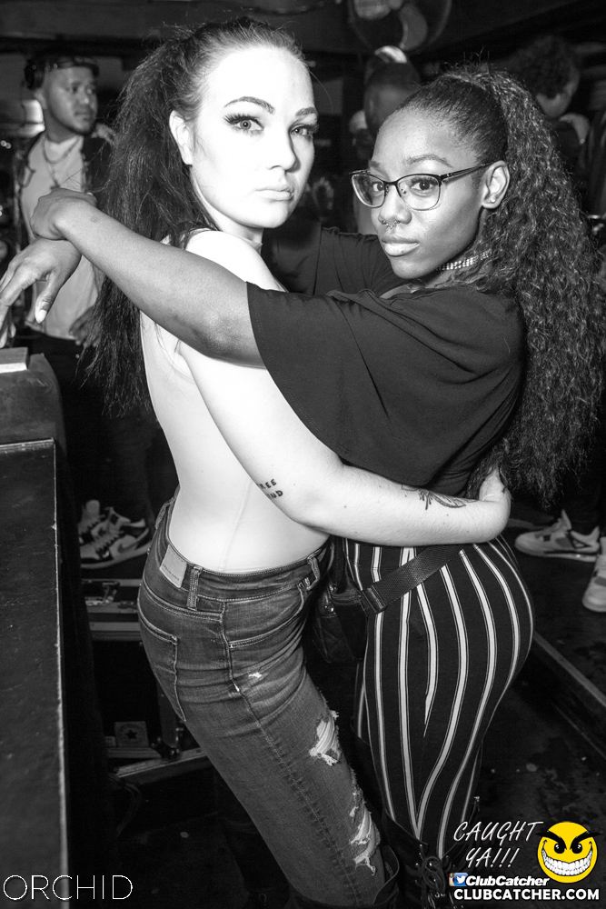 Orchid nightclub photo 87 - September 14th, 2019