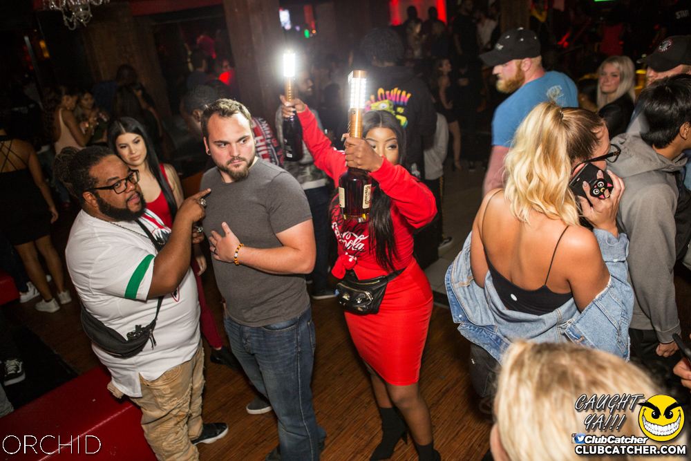 Orchid nightclub photo 89 - September 14th, 2019