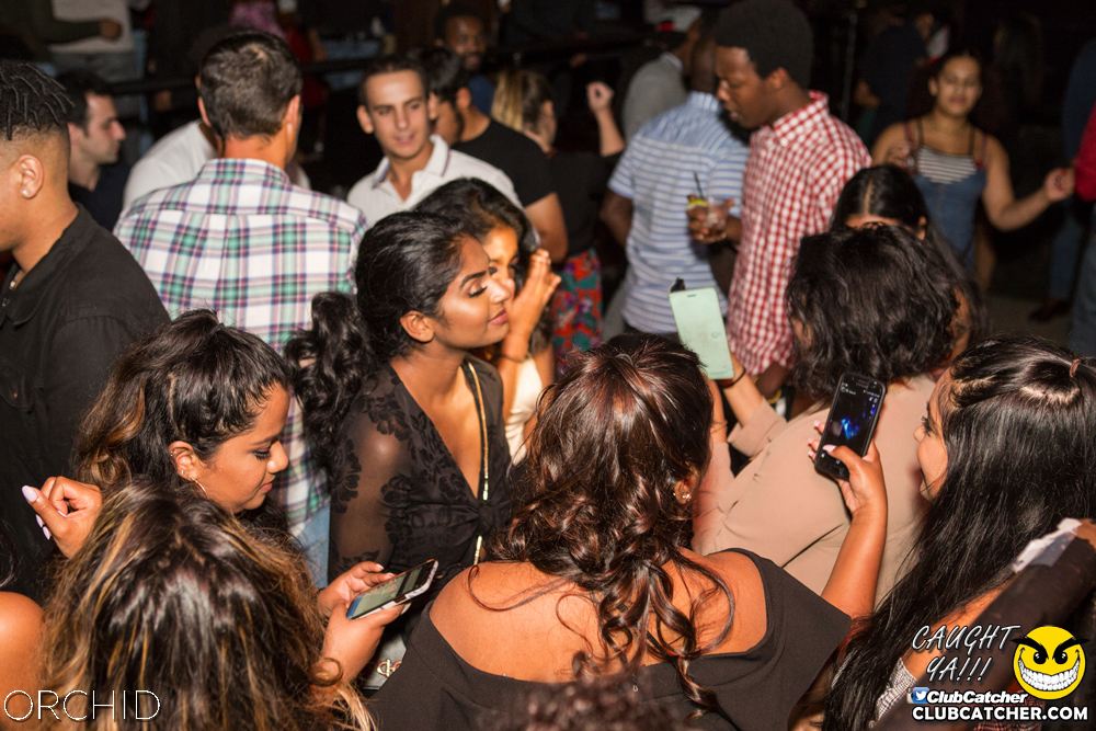 Orchid nightclub photo 90 - September 14th, 2019