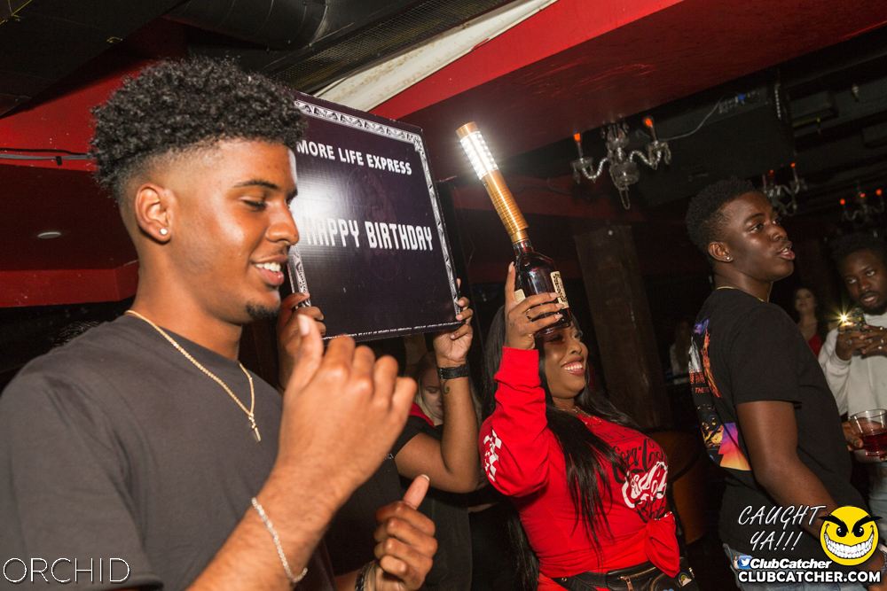 Orchid nightclub photo 91 - September 14th, 2019