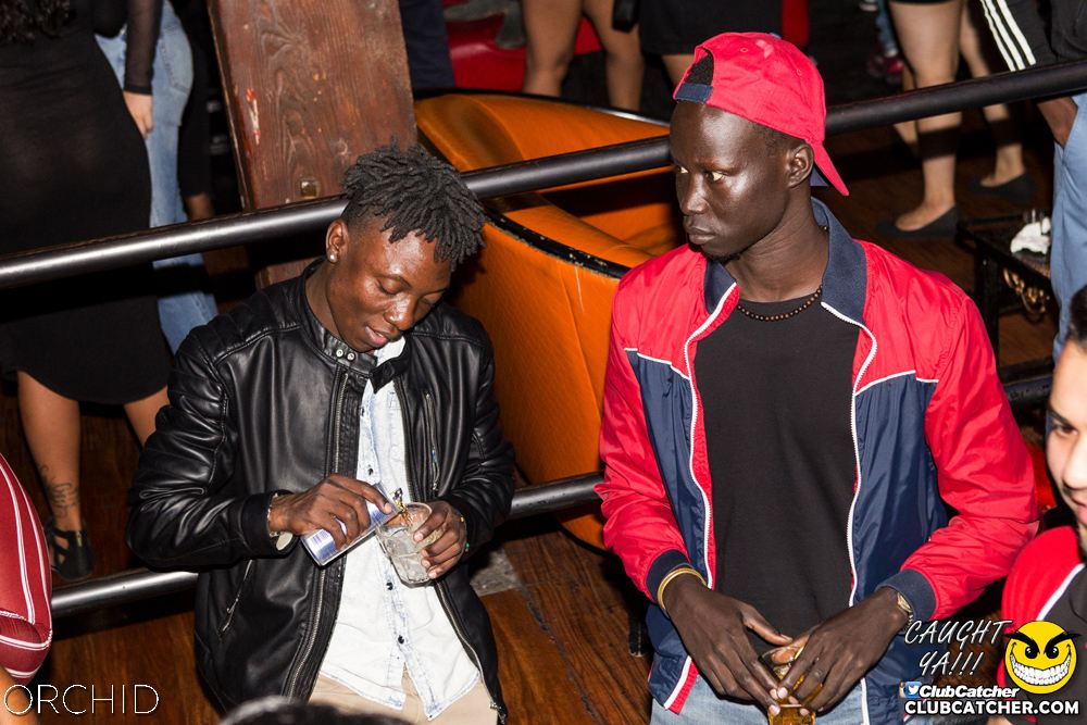 Orchid nightclub photo 92 - September 14th, 2019