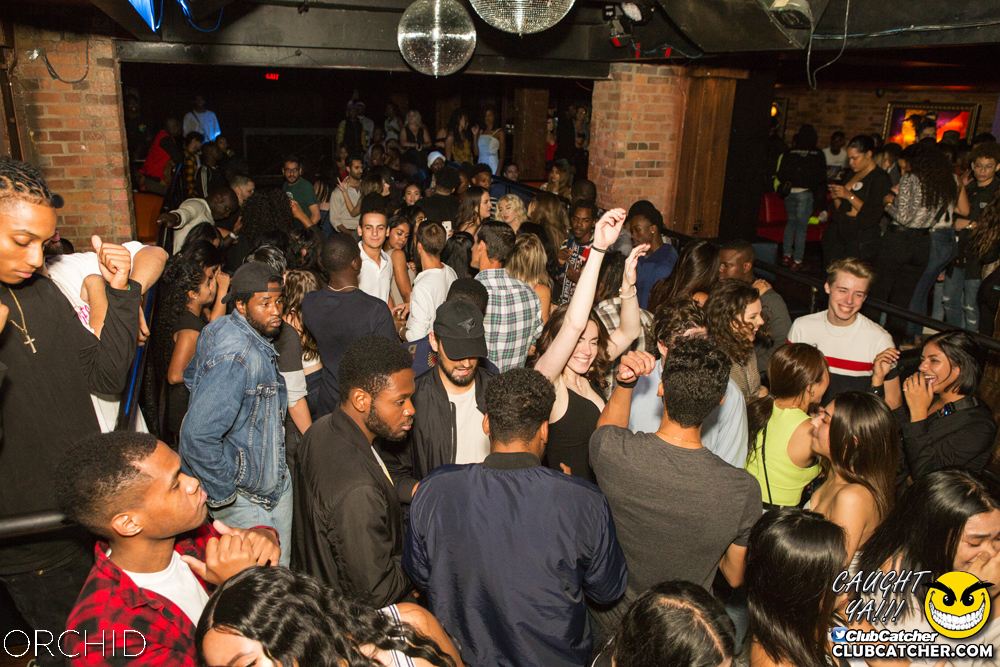 Orchid nightclub photo 96 - September 14th, 2019