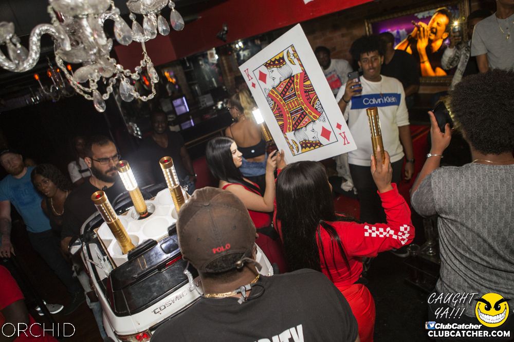 Orchid nightclub photo 97 - September 14th, 2019