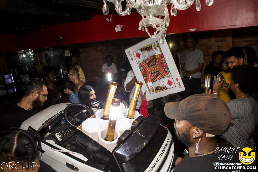 Orchid nightclub photo 99 - September 14th, 2019