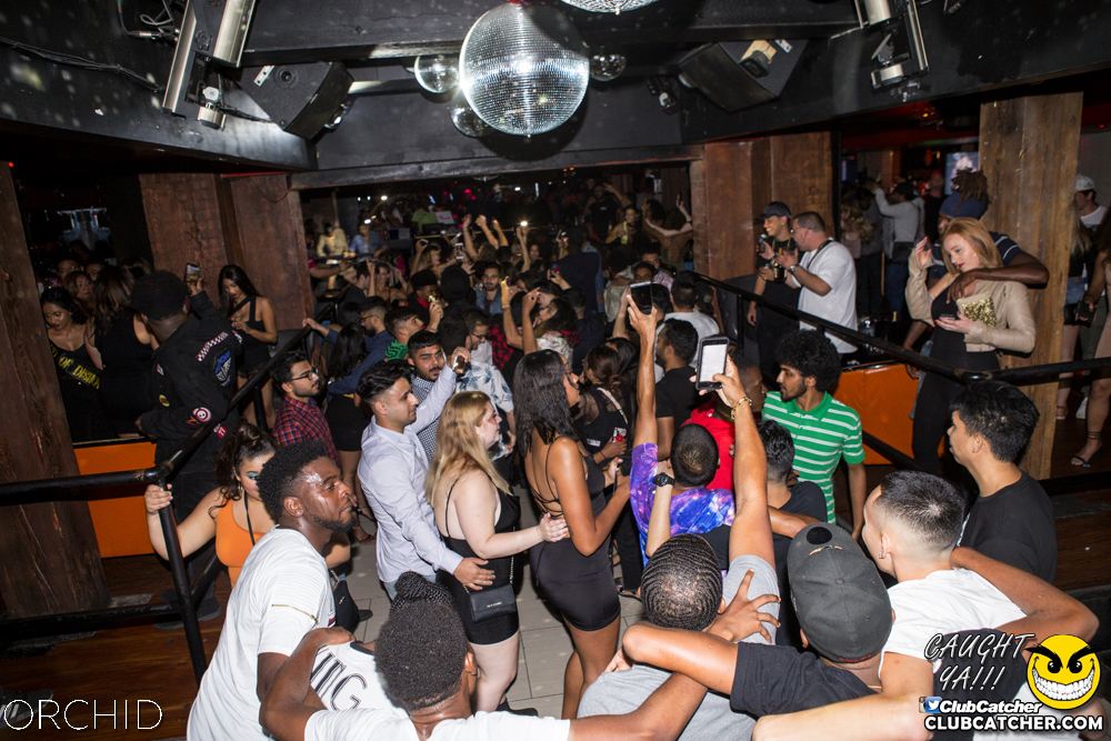 Orchid nightclub photo 1 - September 21st, 2019