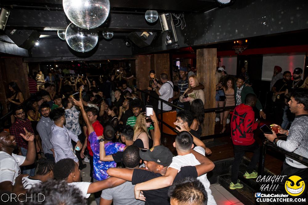 Orchid nightclub photo 102 - September 21st, 2019