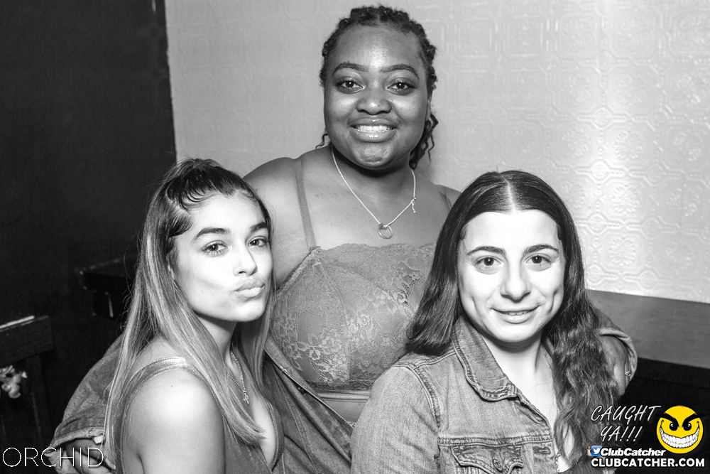 Orchid nightclub photo 104 - September 21st, 2019