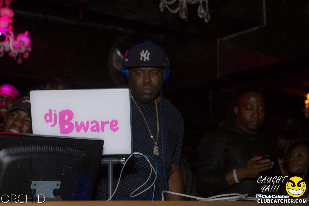 Orchid nightclub photo 107 - September 21st, 2019