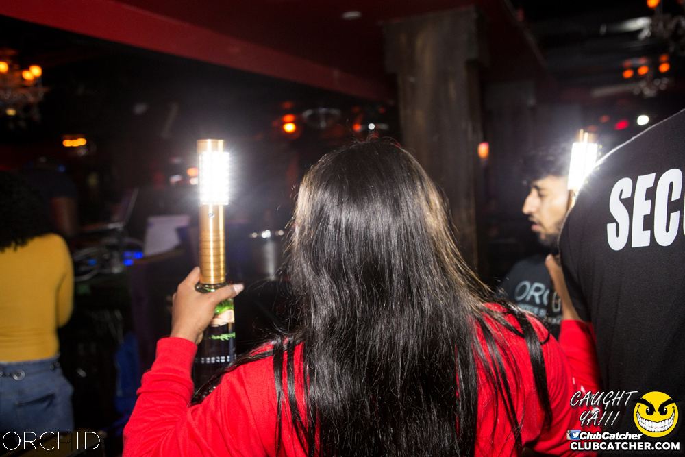 Orchid nightclub photo 111 - September 21st, 2019