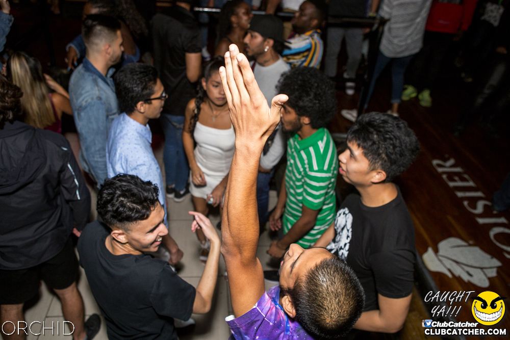 Orchid nightclub photo 112 - September 21st, 2019