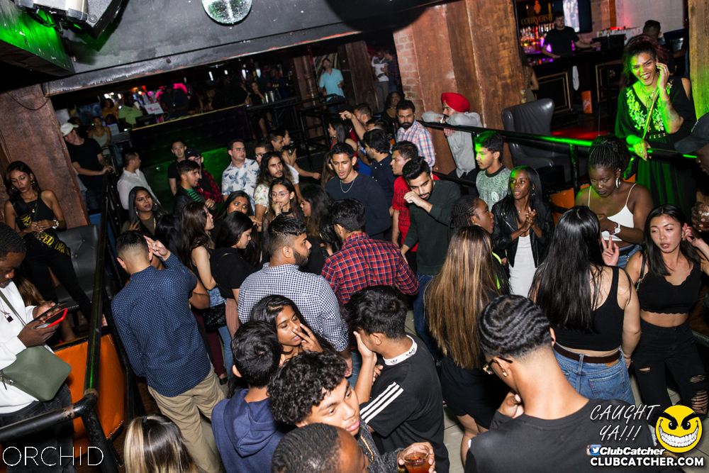 Orchid nightclub photo 117 - September 21st, 2019