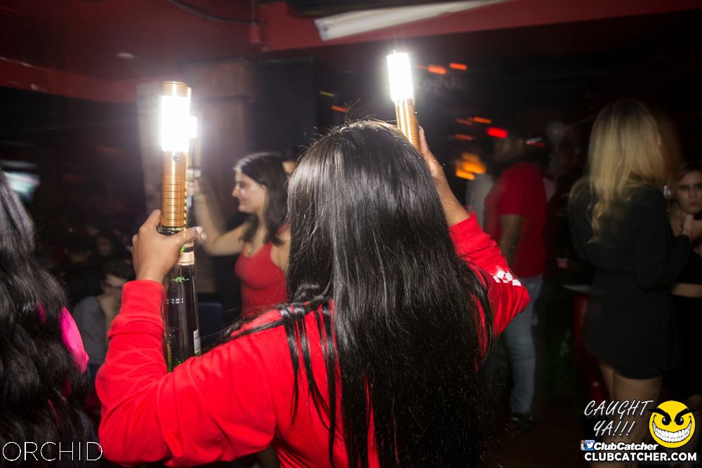 Orchid nightclub photo 119 - September 21st, 2019