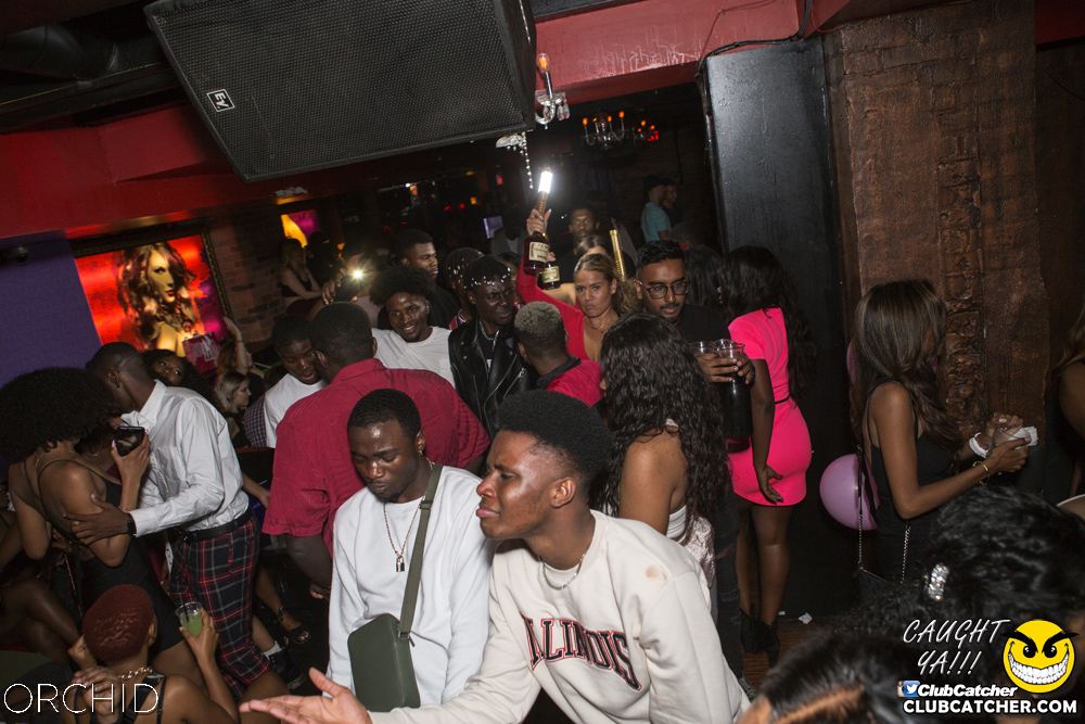 Orchid nightclub photo 121 - September 21st, 2019