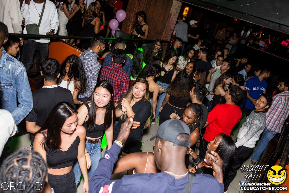 Orchid nightclub photo 125 - September 21st, 2019