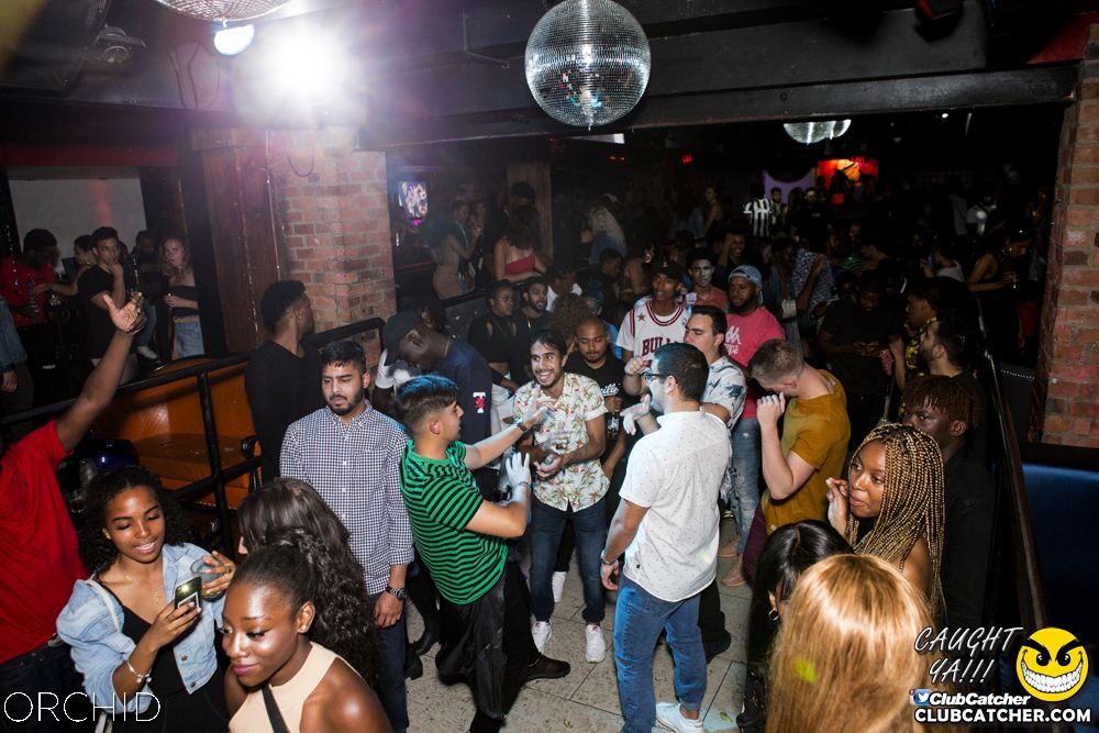 Orchid nightclub photo 129 - September 21st, 2019