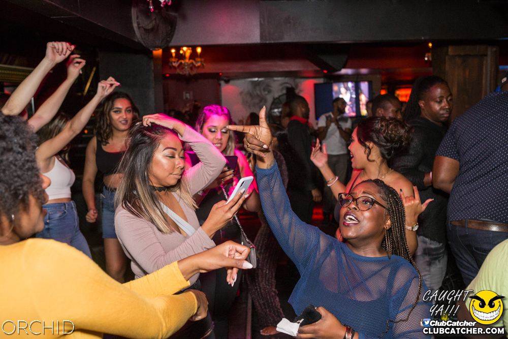 Orchid nightclub photo 14 - September 21st, 2019